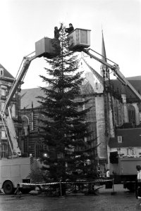 Kerstbomen, Bestanddeelnr 931-8508