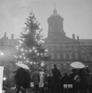 Kerstboom op de Dam, Bestanddeelnr 913-2742