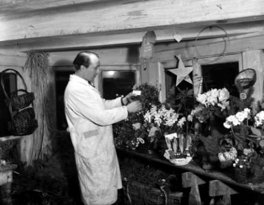 Kerstversiering, Bestanddeelnr 901-9737