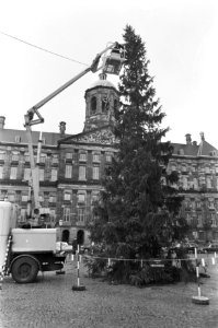 Kerstboom op de Dam, Bestanddeelnr 920-9055