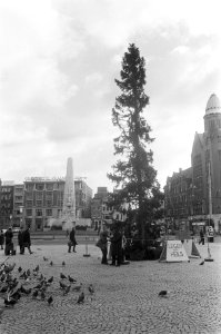 Kerstboom op de Dam, Bestanddeelnr 926-8757