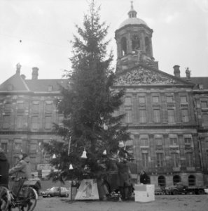 Kerstboom op de Dam door het Leger des Heils geplaatst, Bestanddeelnr 915-8449