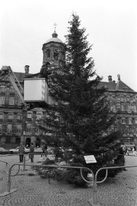 Kerstboom weer op Dam geplaatst, Bestanddeelnr 933-8338