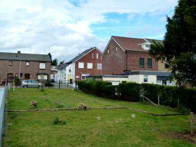 Kerkrade-Romeinse villa Kaalheide (7)