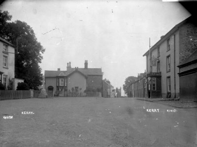 Kerry (1294188)