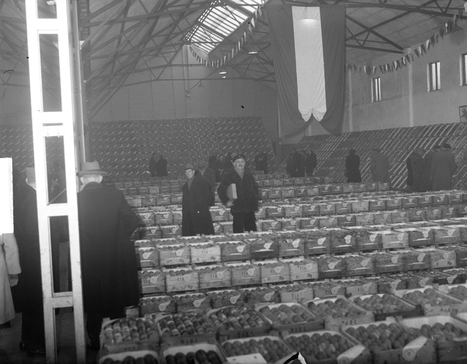 Kerstveiling in Tiel, Bestanddeelnr 904-3422