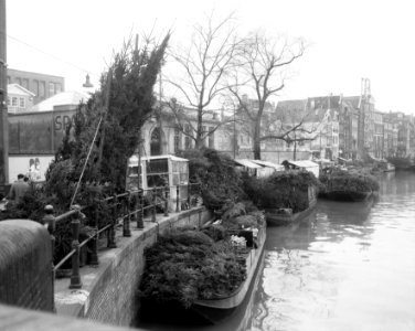 Kertsbomenmarkt op de singel te Amsterdam, Bestanddeelnr 909-1706