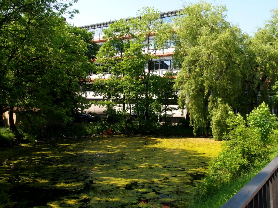 KF Rathaus-Parkhaus (4)