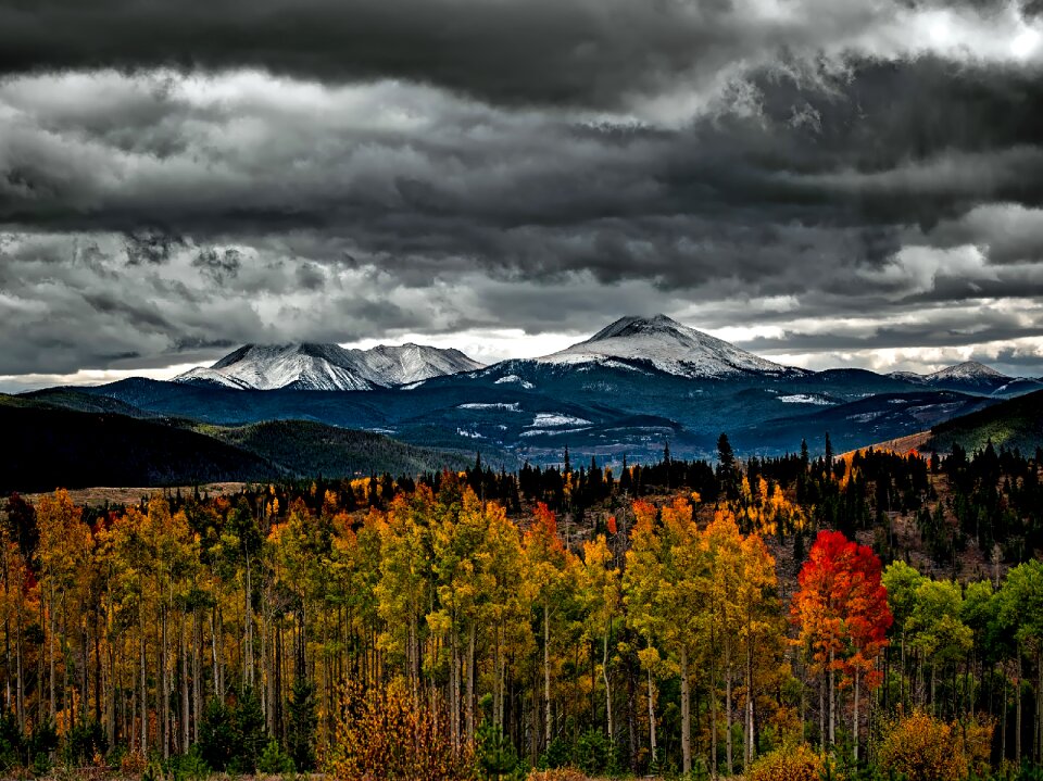 Mountains snow forest