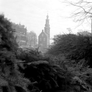 Kerstbomenmarkt op de Singel te Amsterdam, Bestanddeelnr 909-1564