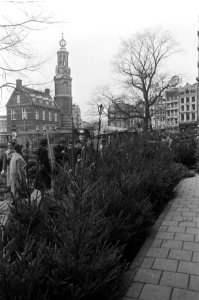 Kerstbomen op Singel Amsterdam, Bestanddeelnr 925-2508