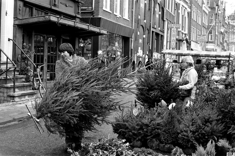Kerstbomen weer te koop, kerstbomen op de Amsterdamse Bloemsingel, Bestanddeelnr 931-1900