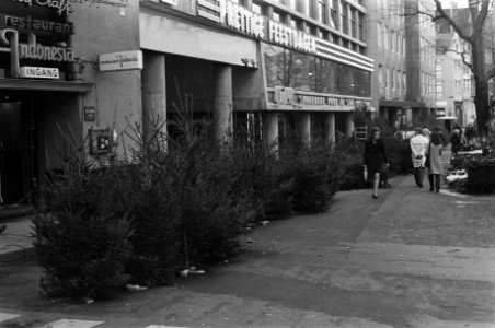 Kerstbomen op Singel in Amsterdam, Bestanddeelnr 926-1045