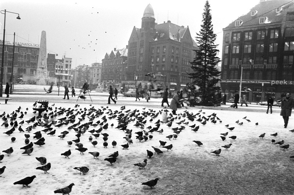 Kerstboom op Dam in Amsterdam, Bestanddeelnr 929-4737