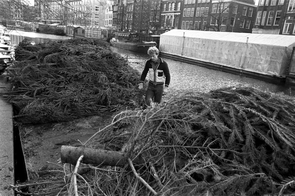 Kerstbomen op de wal in afwachting van verkoop, Bestanddeelnr 931-8473