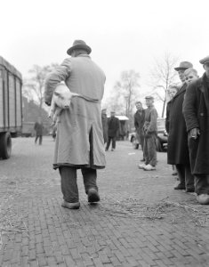 Kerstveemarkt Leiden. Man met big, Bestanddeelnr 908-1924