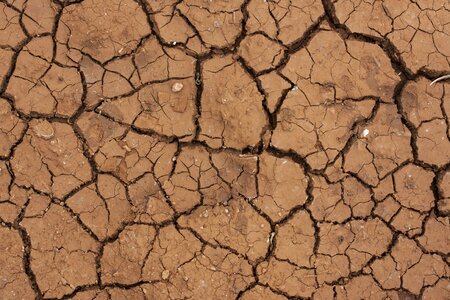 Cracked mud terry photo