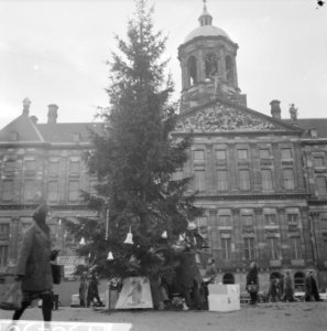 Kerstboom op de Dam door het Leger des Heils geplaatst, Bestanddeelnr 915-8450