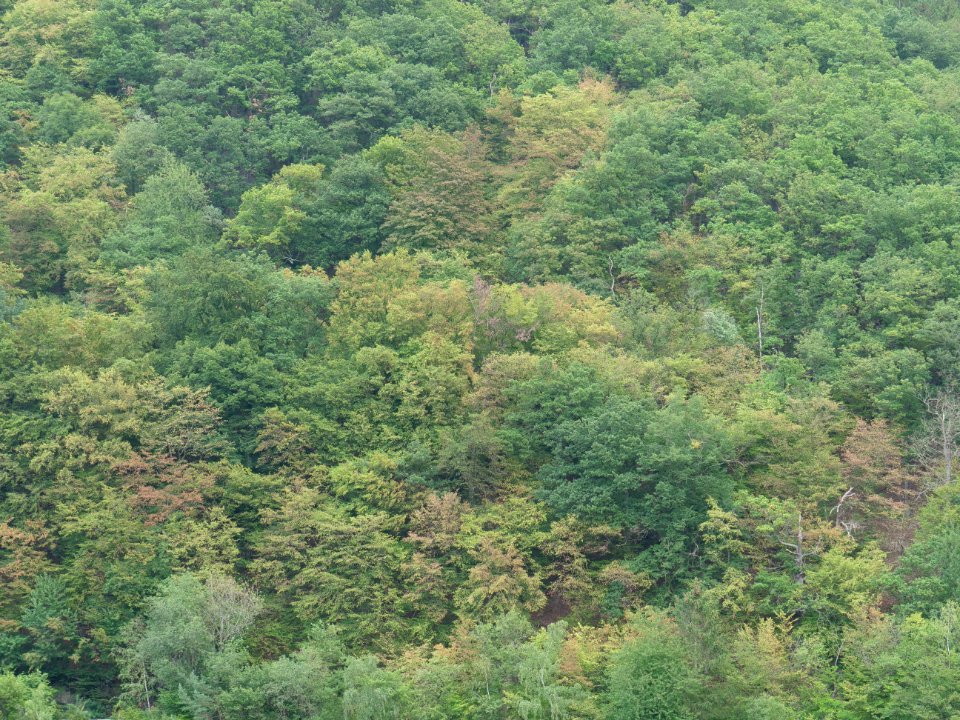 Kermeter from Rurberg in September 2019 01
