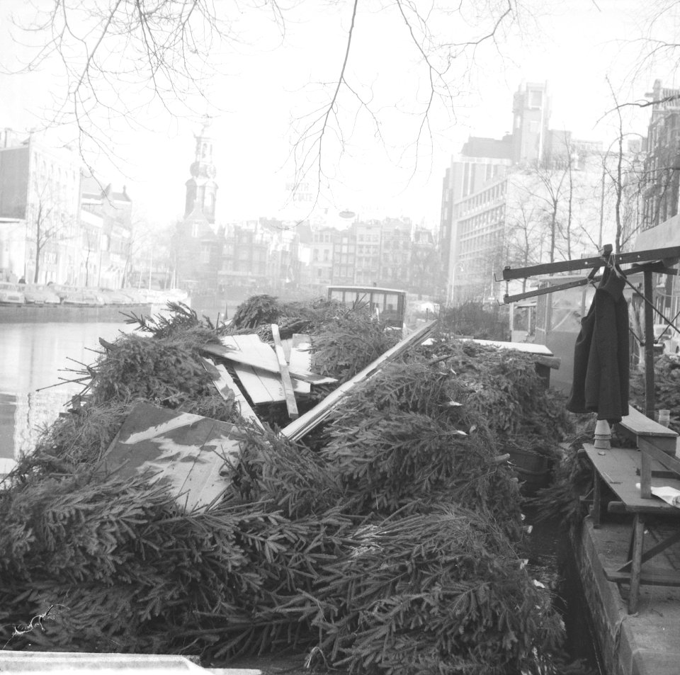 Kerstbomen langs de singel, Bestanddeelnr 914-5721
