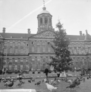 Kerstpotten aktie van Leger des Heils, Bestanddeelnr 914-5982