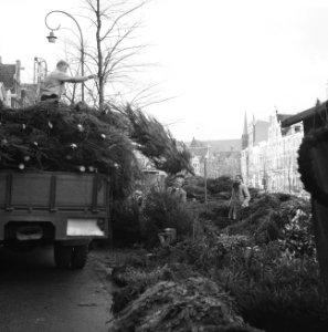 Kerstbomen worden op de Singel in Amsterdam uitgeladen, Bestanddeelnr 918-5297
