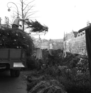 Kerstbomen worden op de Singel in Amsterdam uitgeladen, Bestanddeelnr 918-5296