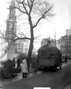 Kerstbomenmarkt Singel bij de Munt, Bestanddeelnr 903-1267