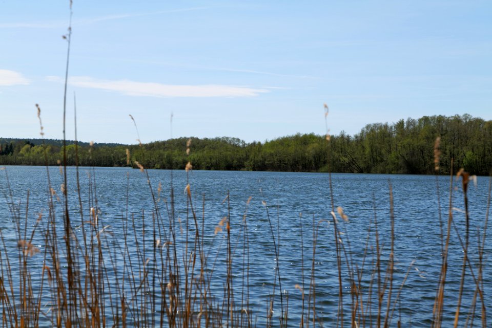 Kleiner Zeschsee 2021-05-09 19