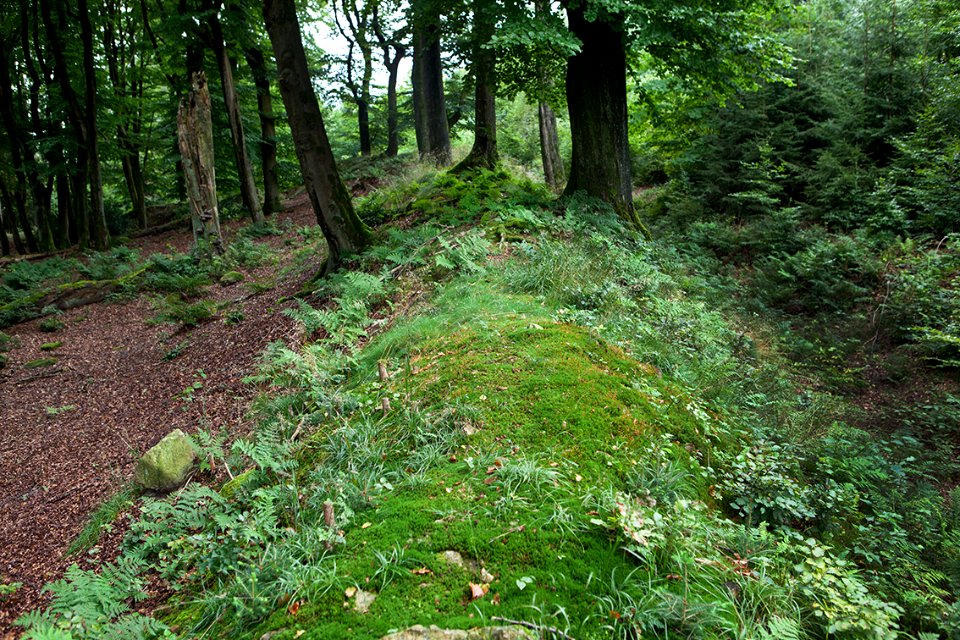 Kleiner Hühnenring Wall 01