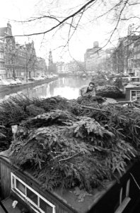 Kerstbomen op Bloemsingel (Amsterdam), Bestanddeelnr 921-9113