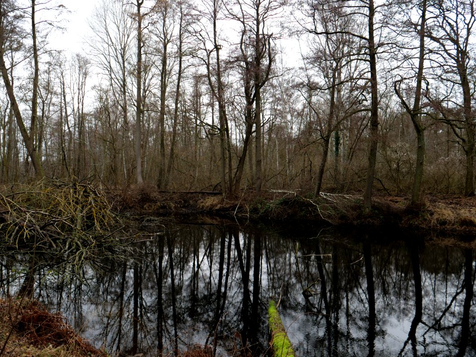 Kleiner Teufelssee Spandau 2019-01-16 2