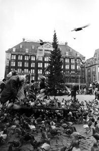 Kerstboom met duiven op de voorgrond, Bestanddeelnr 932-4277