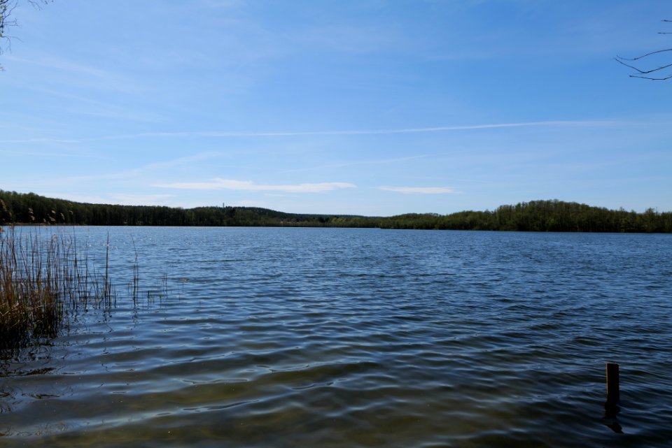 Kleiner Zeschsee 2021-05-09 01