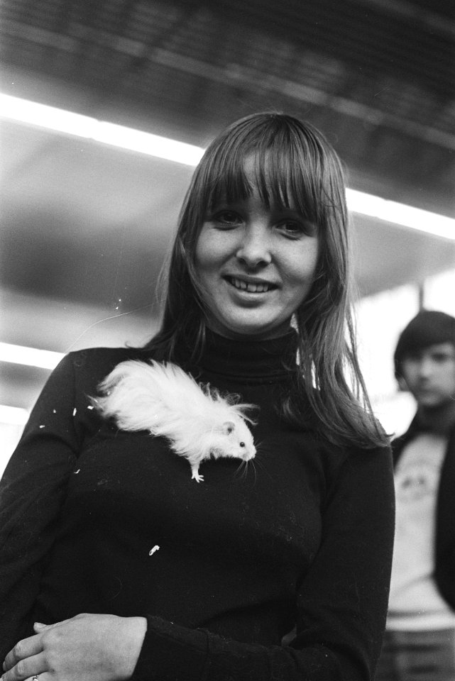 Kleindierententoonstelling in Amsterdamse Rai meisje met langharige hamster, Bestanddeelnr 928-8980