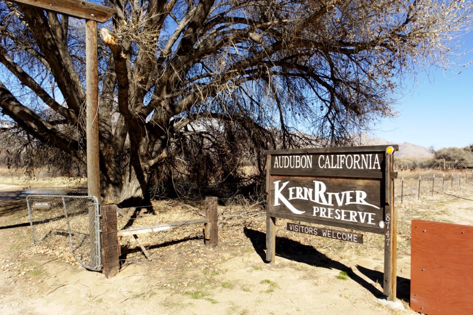 Kern River Preserve entrance 2017-01-29