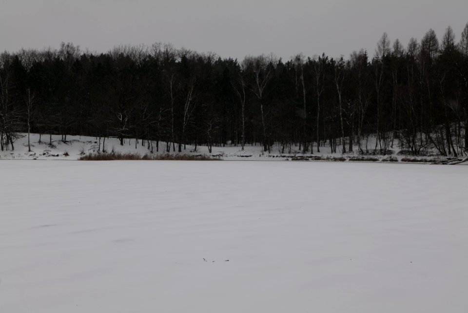 Kleiner Lienewitzsee with snow 2021-02-07 02