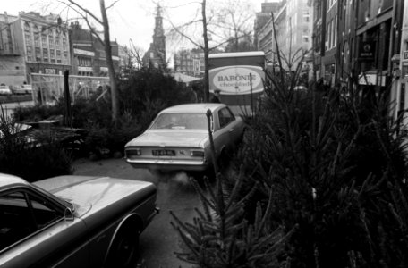 Kerstbomenmarkt op Singel Amsterdam, Bestanddeelnr 923-1023