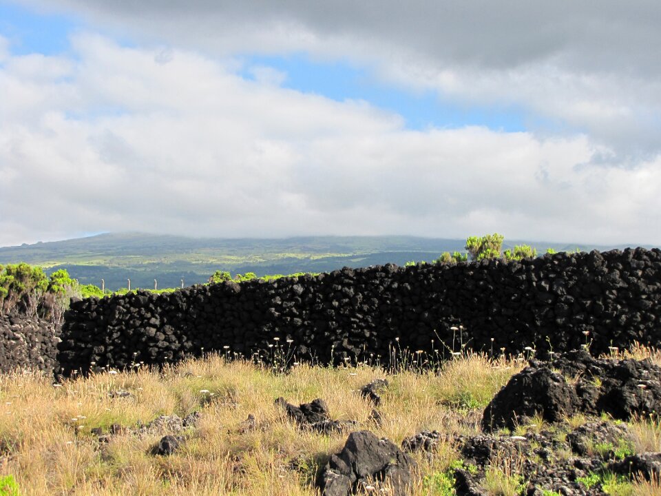 Stone wall nature rough
