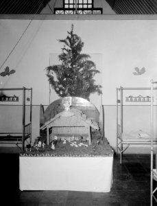 Kerstkribbe in een van de zalen van het Militair Hospitaal I te Batavia, Bestanddeelnr 12686 photo