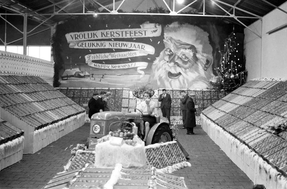 Kerstfruitveiling in Houten Overzicht van de veiling, Bestanddeelnr 913-2860