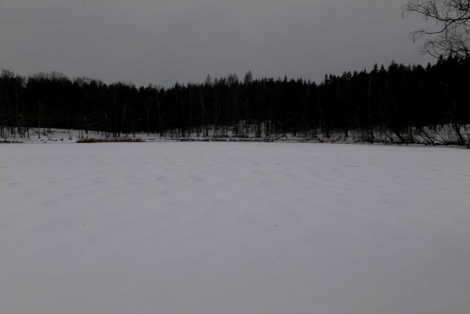 Kleiner Lienewitzsee with snow 2021-02-07 10
