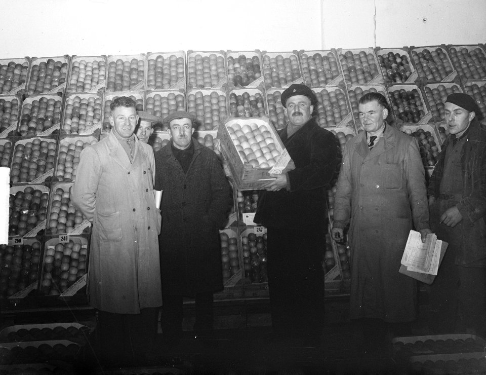 Kerstveiling in Tiel, Bestanddeelnr 904-3421