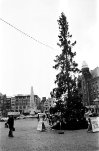 Kerstboom op de Dam, Bestanddeelnr 927-6400