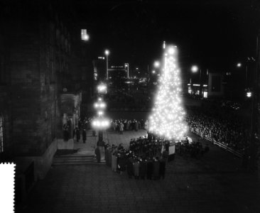 Kerstboom van Olso voor Rotterdam, Bestanddeelnr 907-5105