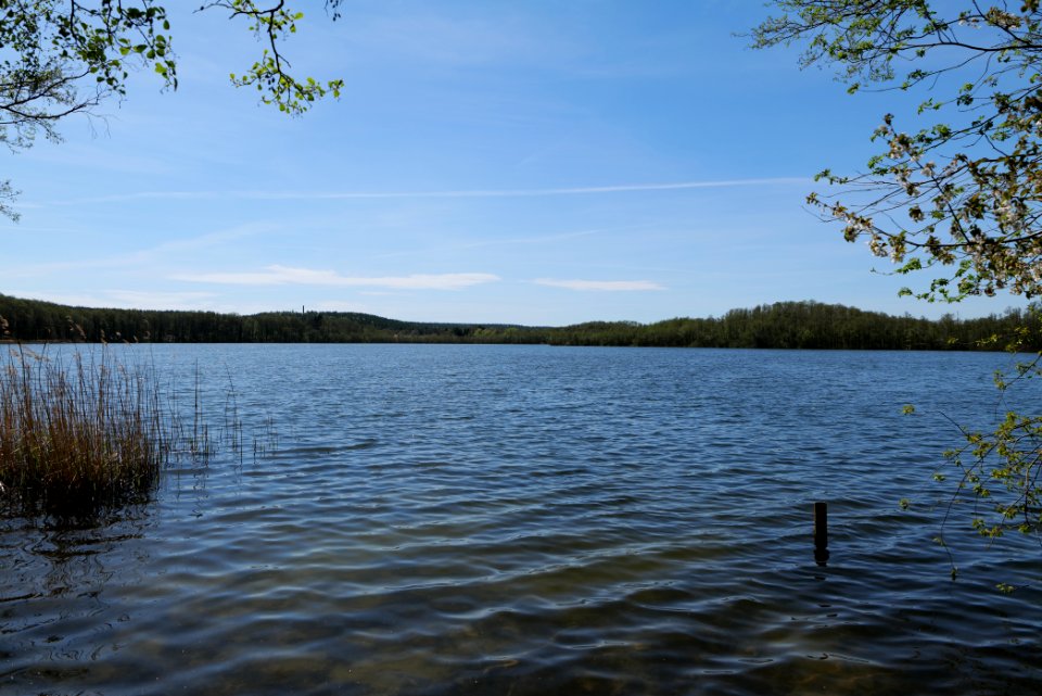 Kleiner Zeschsee 2021-05-09 17