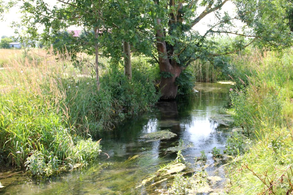 Kleiner Hungerbach bei Amberg