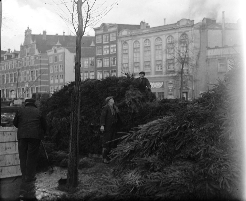 Kerstbomen aan het stapelen, Bestanddeelnr 902-4753