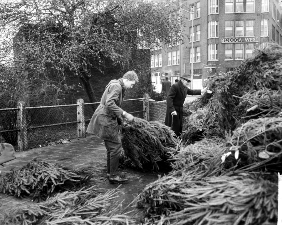 Kerstbomenverkoop, Bestanddeelnr 914-5990