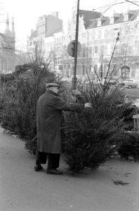 Kerstboomverkoop in Amsterdam, Bestanddeelnr 913-3026